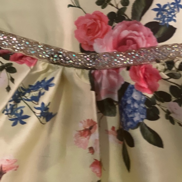 Rare Editions Little Girls Floral Fit and Flare Dress - Picture 3 of 6